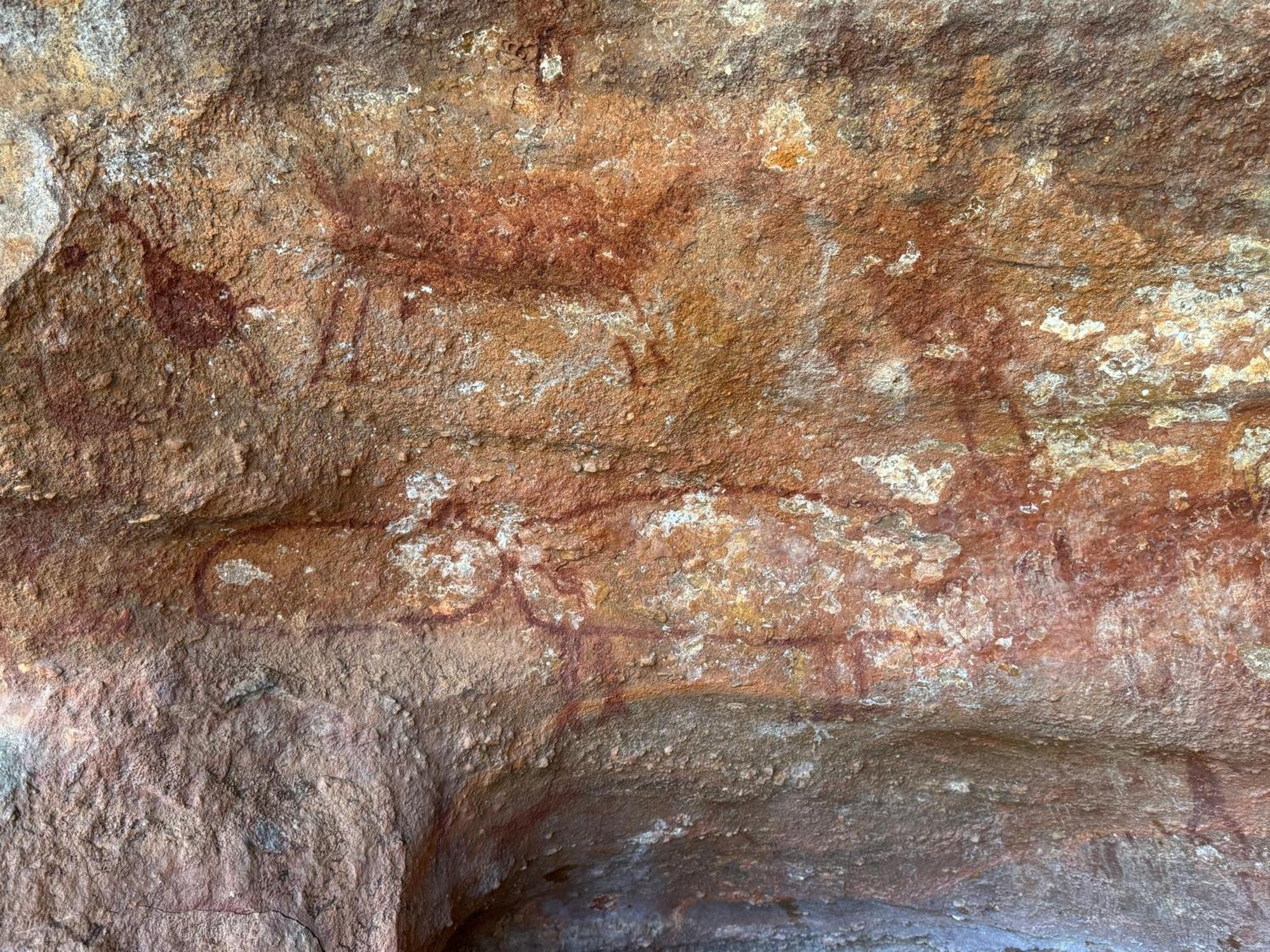 Coronel Jose Dias Casa Barreirinho Parque Nacional Serra Da Capivara מראה חיצוני תמונה