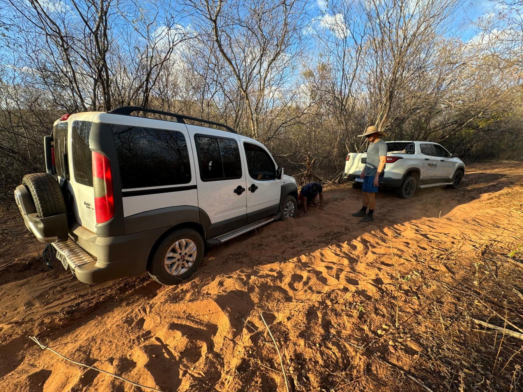 Coronel Jose Dias Casa Barreirinho Parque Nacional Serra Da Capivara מראה חיצוני תמונה