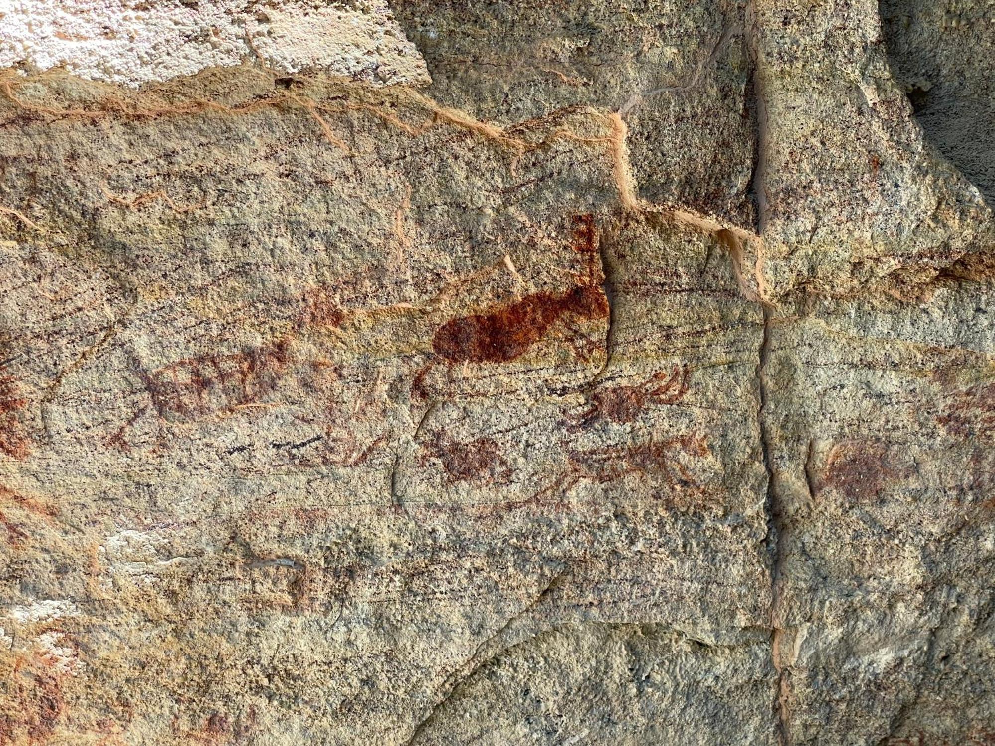 Coronel Jose Dias Casa Barreirinho Parque Nacional Serra Da Capivara מראה חיצוני תמונה