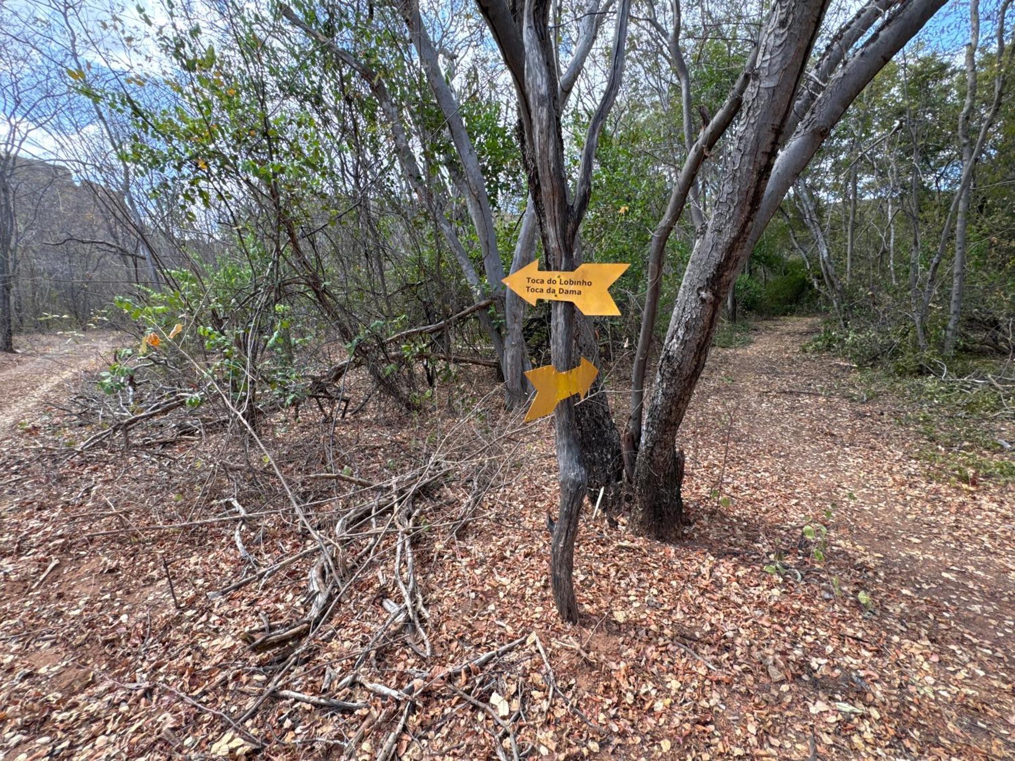 Coronel Jose Dias Casa Barreirinho Parque Nacional Serra Da Capivara מראה חיצוני תמונה