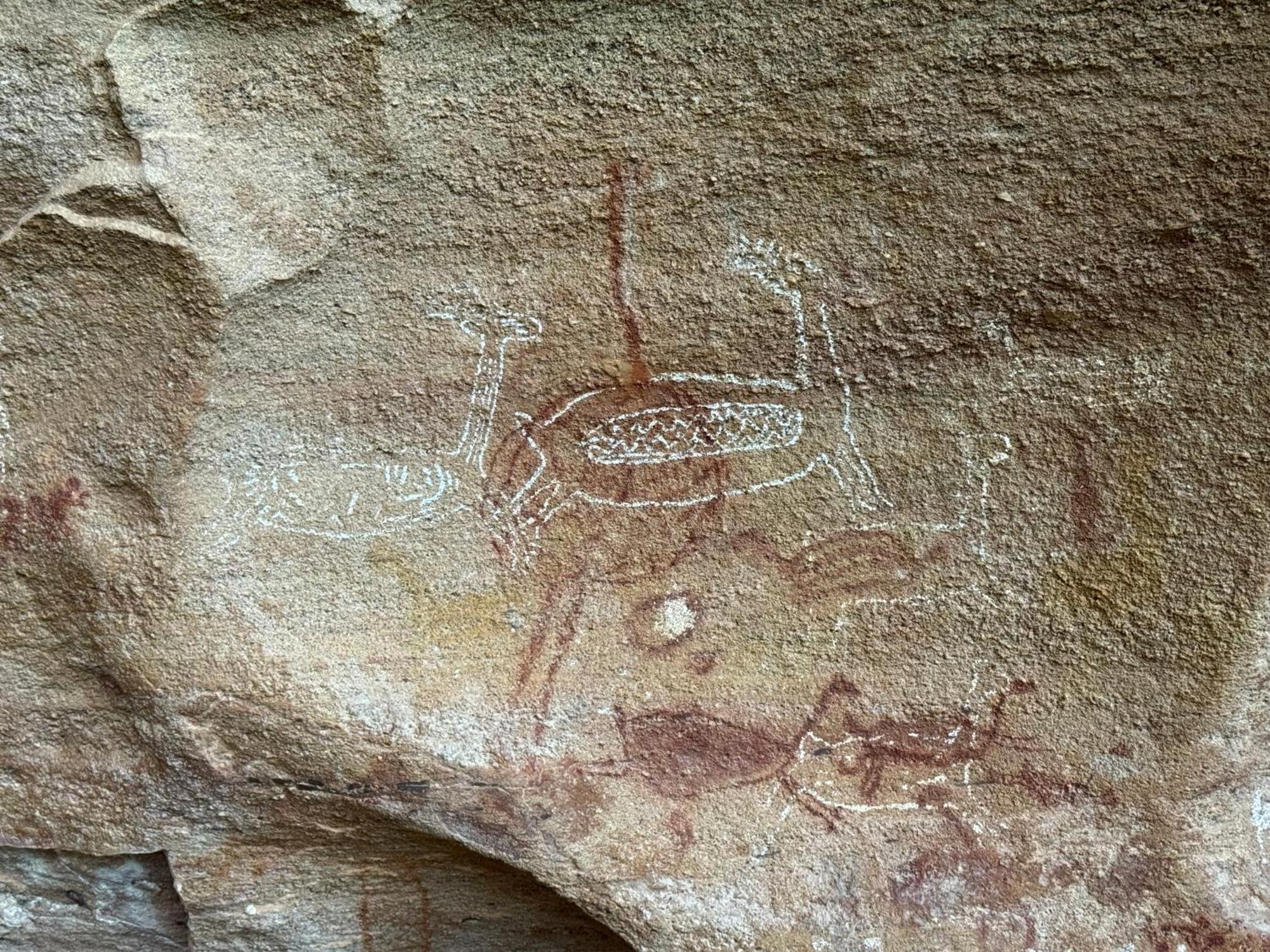 Coronel Jose Dias Casa Barreirinho Parque Nacional Serra Da Capivara מראה חיצוני תמונה