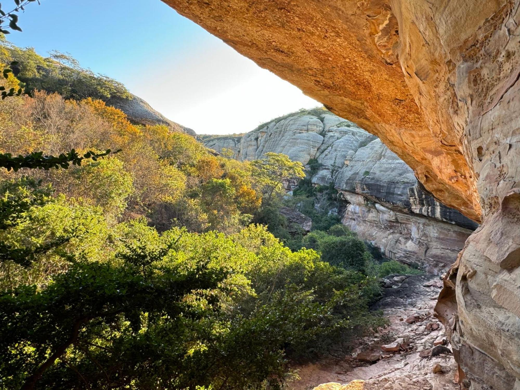 Coronel Jose Dias Casa Barreirinho Parque Nacional Serra Da Capivara מראה חיצוני תמונה