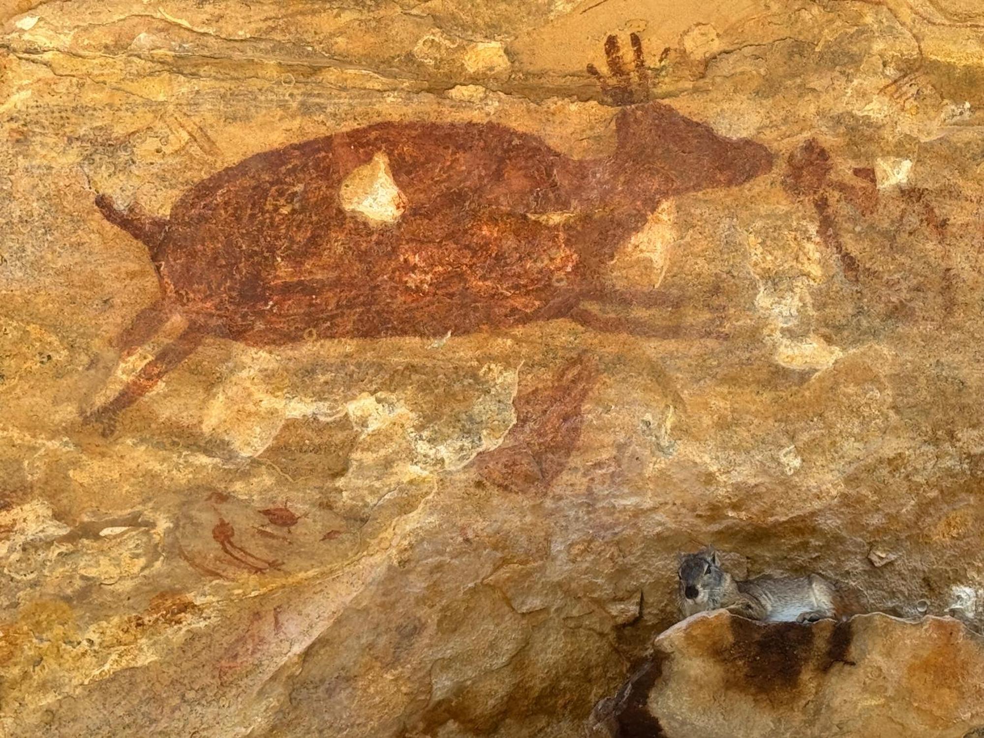 Coronel Jose Dias Casa Barreirinho Parque Nacional Serra Da Capivara מראה חיצוני תמונה
