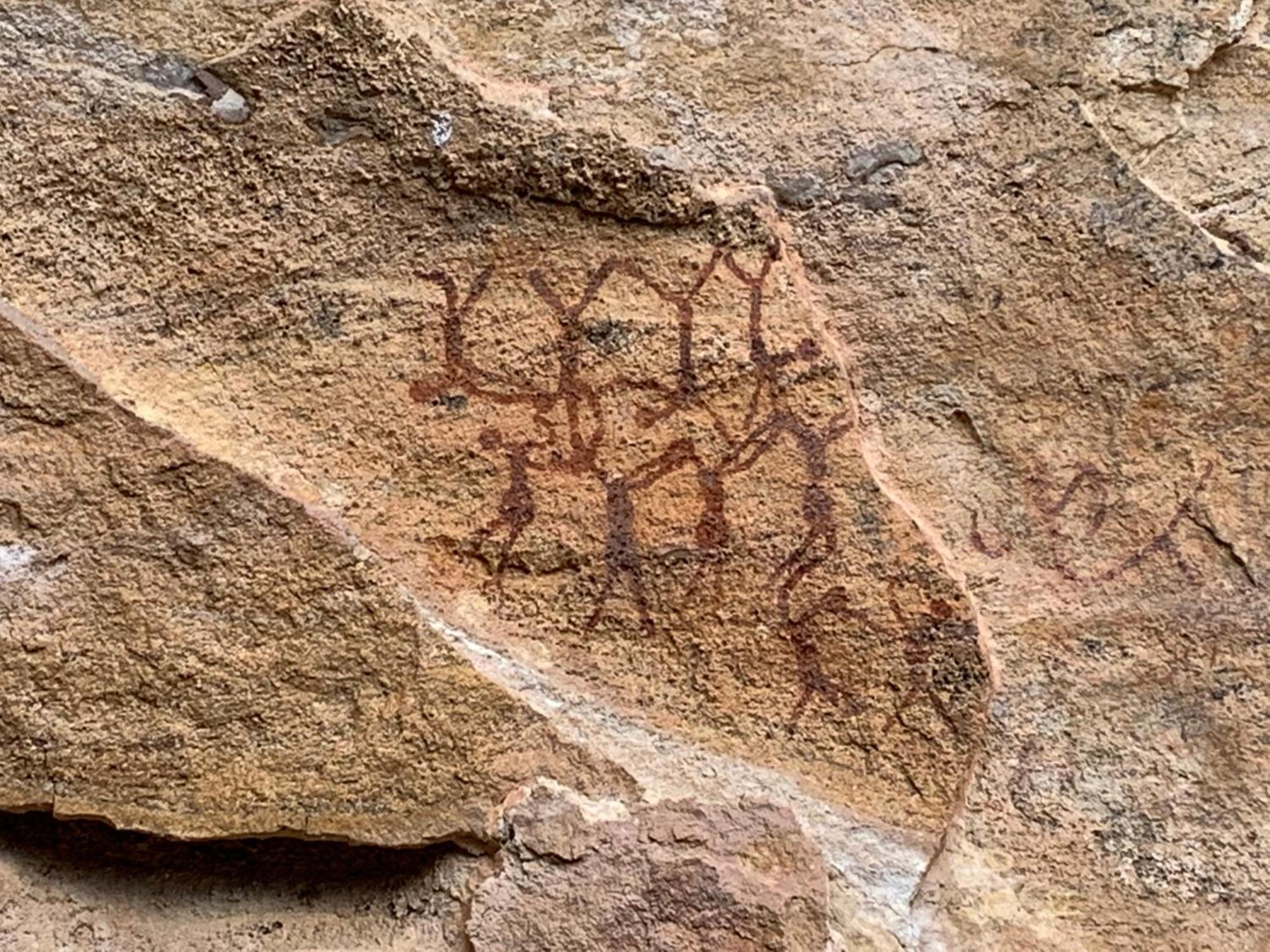 Coronel Jose Dias Casa Barreirinho Parque Nacional Serra Da Capivara מראה חיצוני תמונה